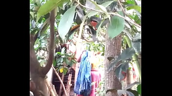 Mulheres indianas tomando banho
